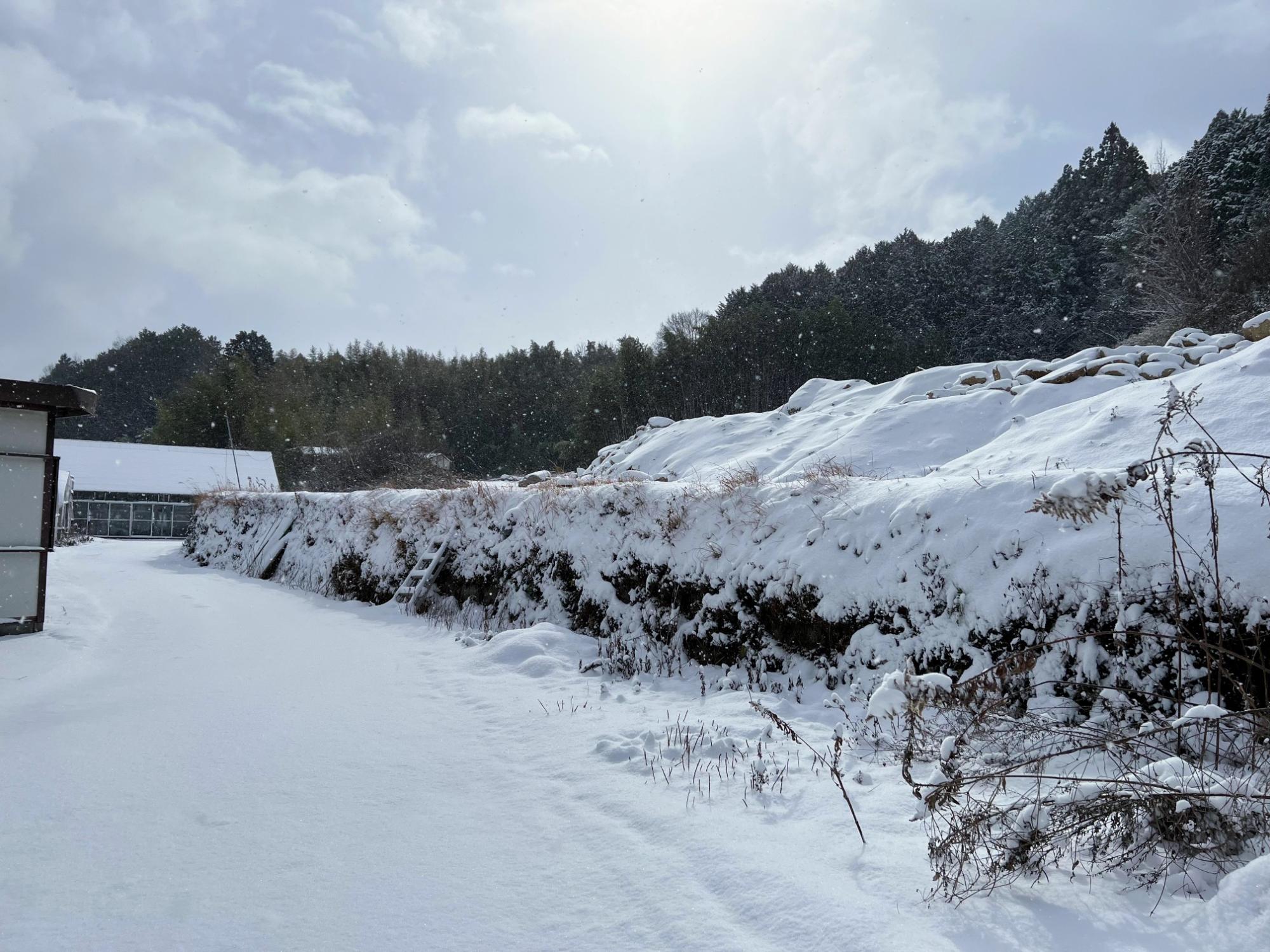 いばきたの冬景色