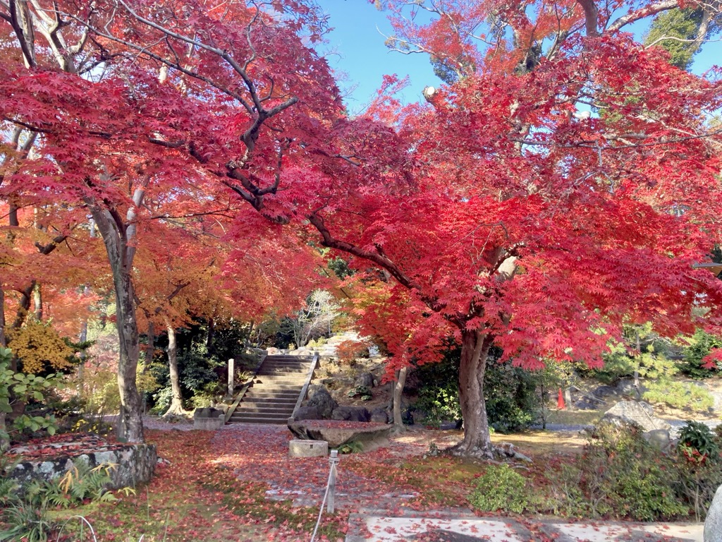 大門寺の紅葉