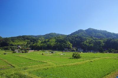 いばきたの夏景色