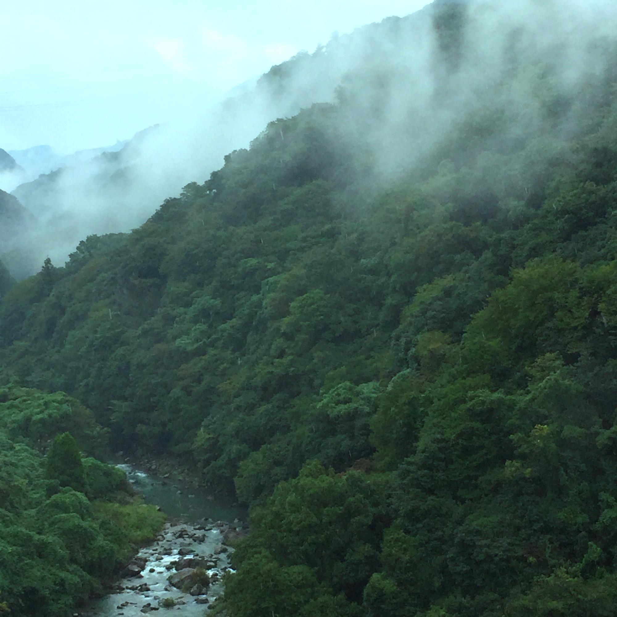 霧立つ山