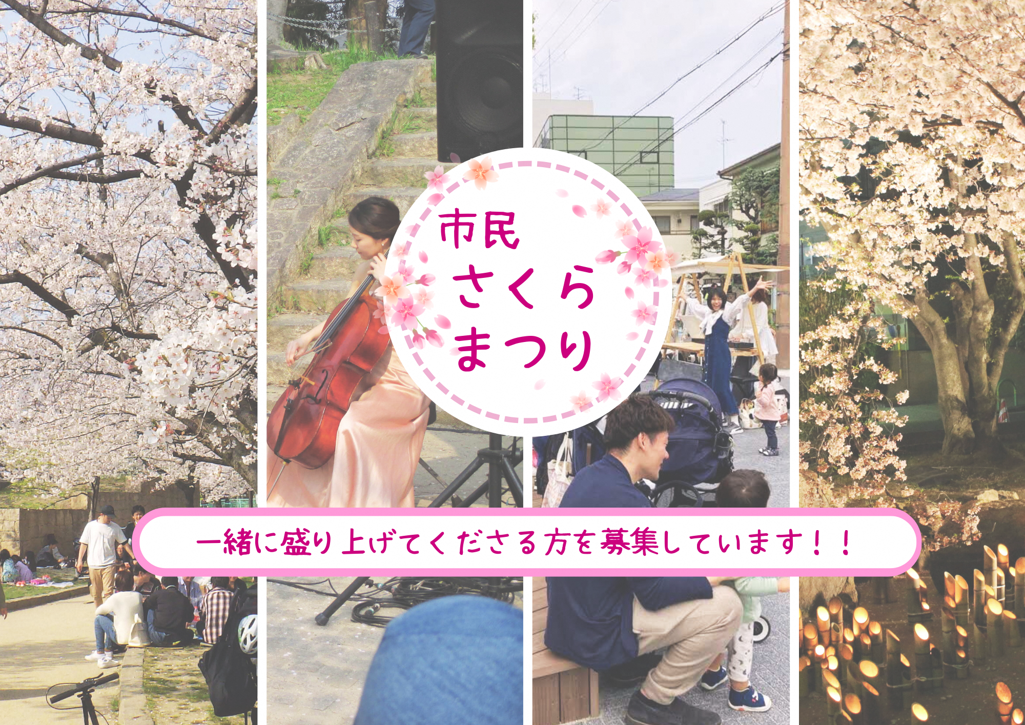 市民さくらまつりを一緒に盛り上げてくださる方を募集しています