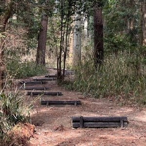 ガッツ階段