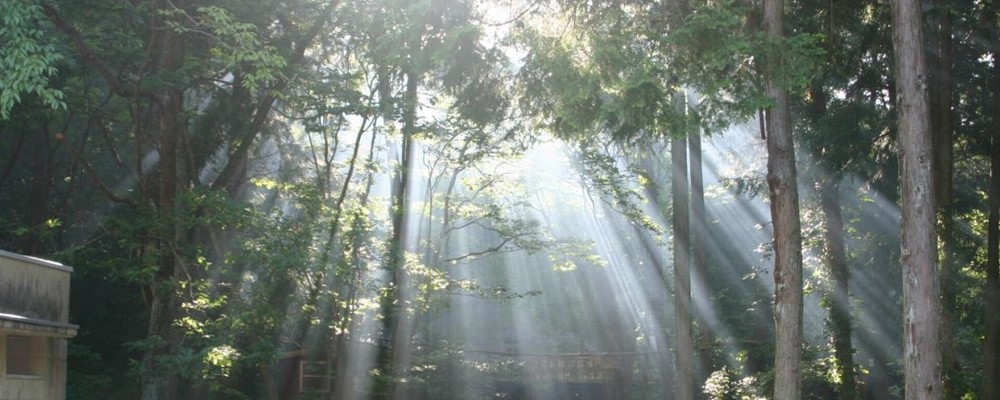 キャンプ場の風景