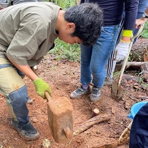 掛矢で木を打っています