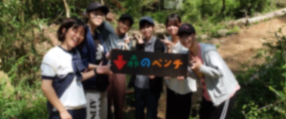 仲間と協力しての活動