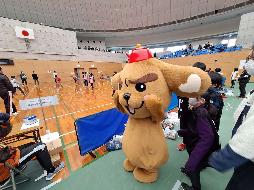 ほっとけん！活動中