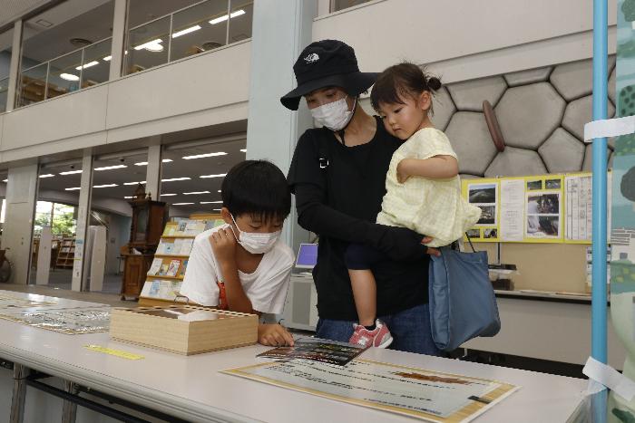 親子で生き物図鑑を眺める様子