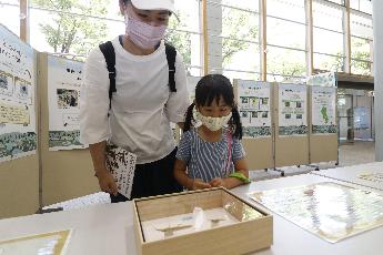 親子で昆虫の標本を眺める様子