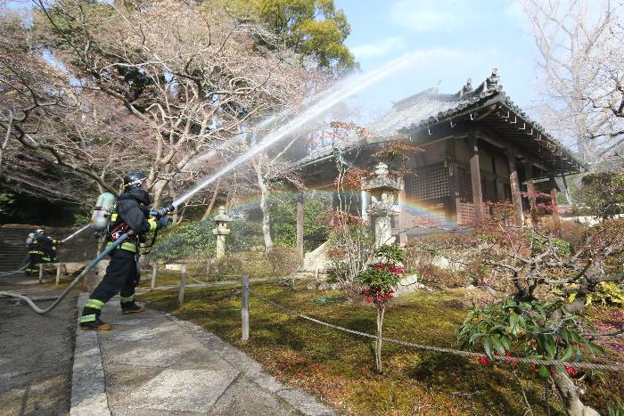 一斉に放水をする消防隊員