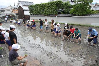 郡小学校の児童と地域の人が田植えを体験している様子