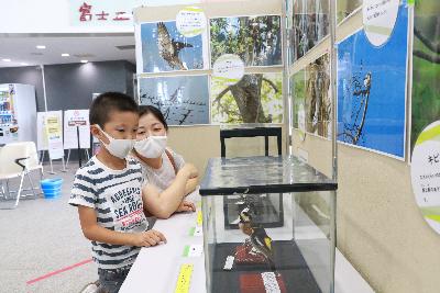 市内の鳥の複製を観察する親子連れ