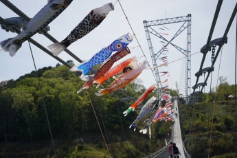 鯉のぼりが泳いでる様子