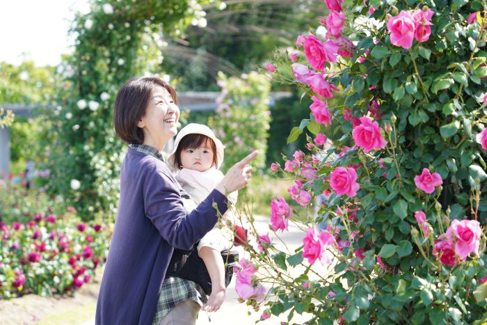 バラ園