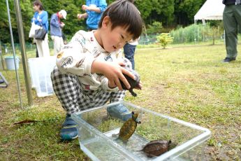 生き物とのふれあい