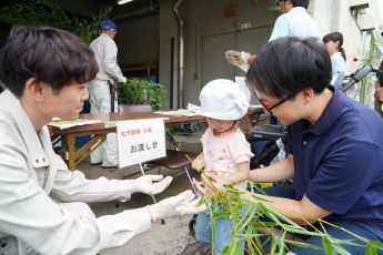 笹の無料配布