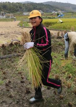 刈った稲を運ぶ児童