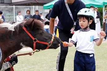 ふれあい体験の様子