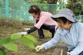 老人クラブ連合会会員による清掃の様子（3）