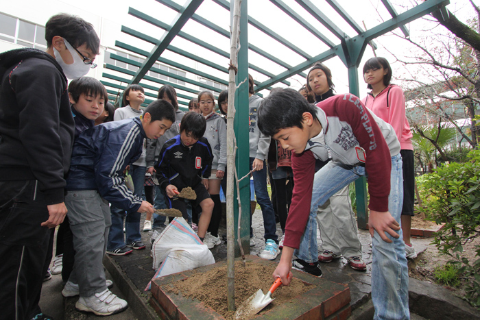 植樹の様子