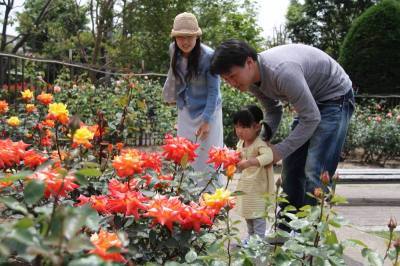 園内のバラを鑑賞する親子の画像
