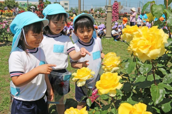 バラを見る園児たちの画像