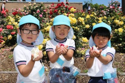 集めた花びらを見せ合う園児たちの画像