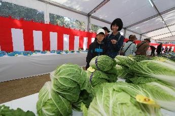 農林産物品評会（農業祭）