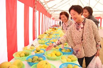 農業祭の様子