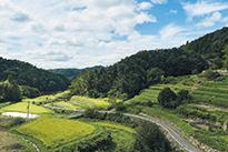 銭原の棚田